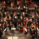Les Musiciens du Louvre Grenoble
