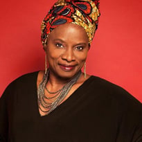 Angelique Kidjo et Youssou Ndour, Chimes of Freedom Tour