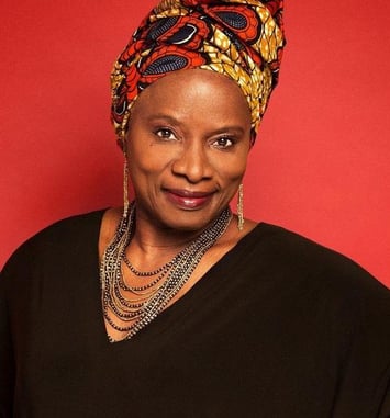Angelique Kidjo et Youssou Ndour, Chimes of Freedom Tour