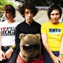 The Wombats