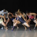 Batsheva Dance Company
