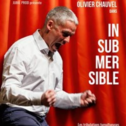 Olivier Chauvel dans Insubmersible 1