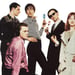 Pulp