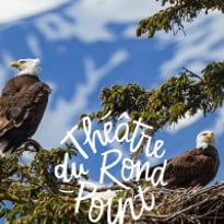 Tout est Calme dans les Hauteurs