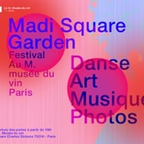 Madi Square Garden Festival