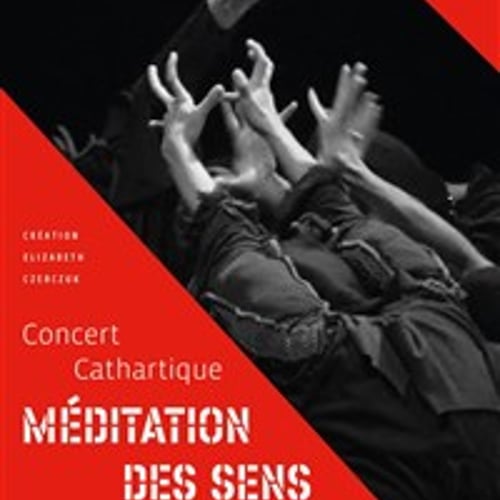 Concert cathartique, Méditation des sens 1