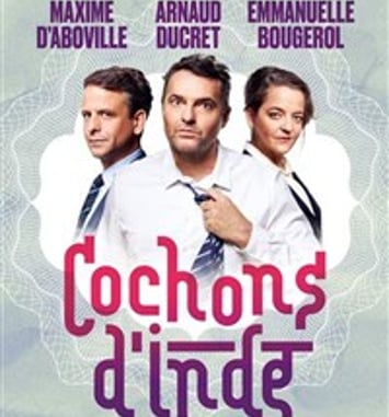 Cochons D'inde