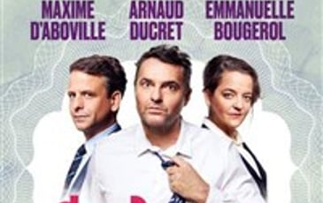 Cochons D'inde
