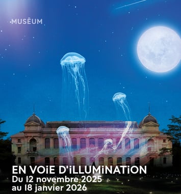 En voie d'illumination 2025 affiche