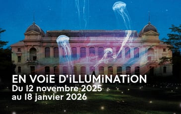 En voie d'illumination : lumières de la nature