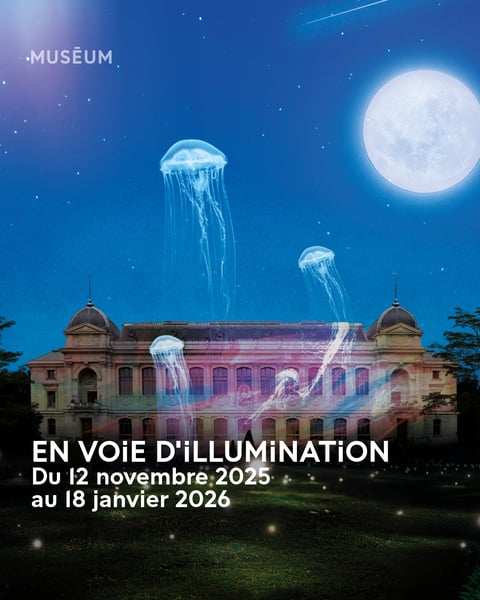 En voie d'illumination 2025 affiche