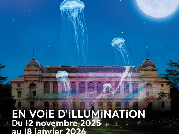 En voie d'illumination : lumières de la nature