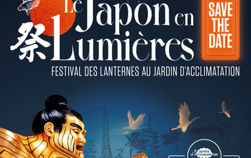 Festival des Lanternes
