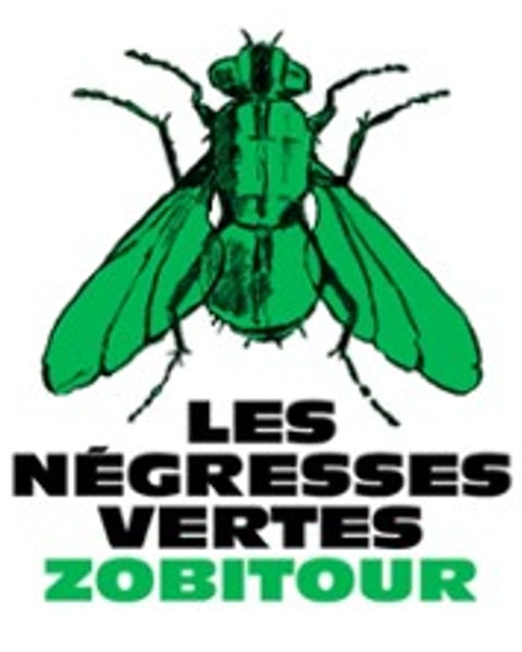 Les Négresses Vertes