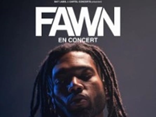 Fawn