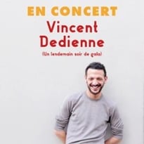 Vincent Dedienne en Concert, Un Lendemain Soir de Gala