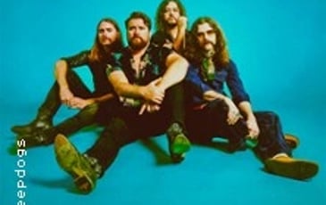 The Sheepdogs