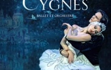 Le Lac des Cygnes, ballet et orchestre