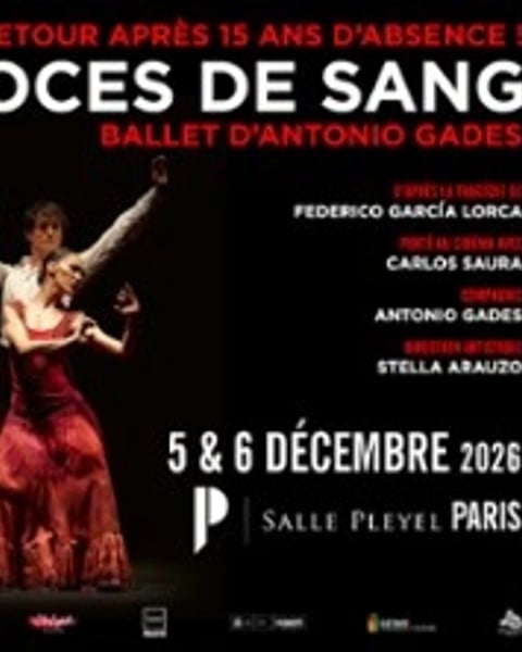 Noces de Sang, un ballet d'Antonio Gades et Carlos Saura