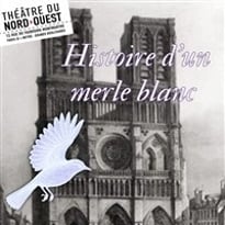 Histoire d'un merle blanc