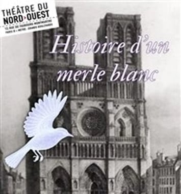 Histoire d'un merle blanc