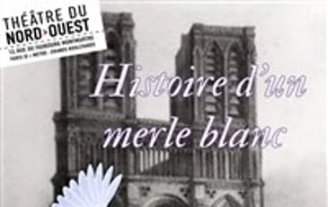 Histoire d'un merle blanc