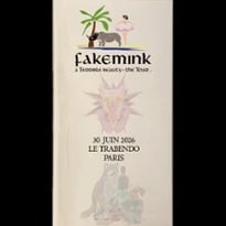 Fakemink: A Terrible Beauty, The Tour