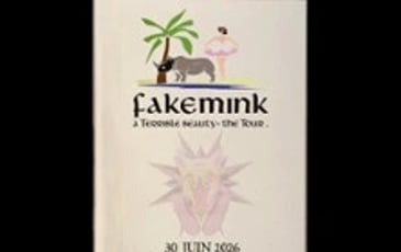 Fakemink: A Terrible Beauty, The Tour