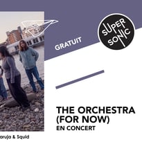 The Orchestra (For Now)
