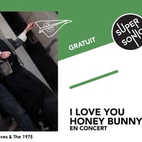 I Love You Honey Bunny