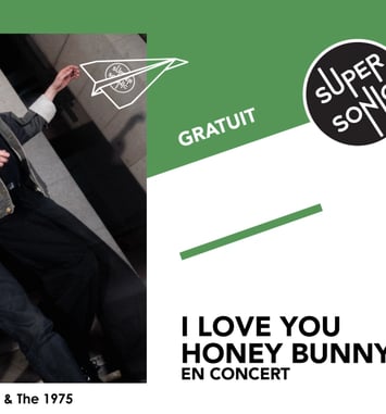 I Love You Honey Bunny