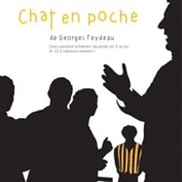 Chat en poche