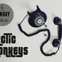Sunday Tribute : Arctic Monkeys