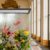Jesse Darling, Les Ambassadeurs