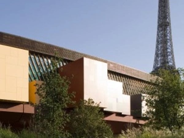 Plumes du paradis