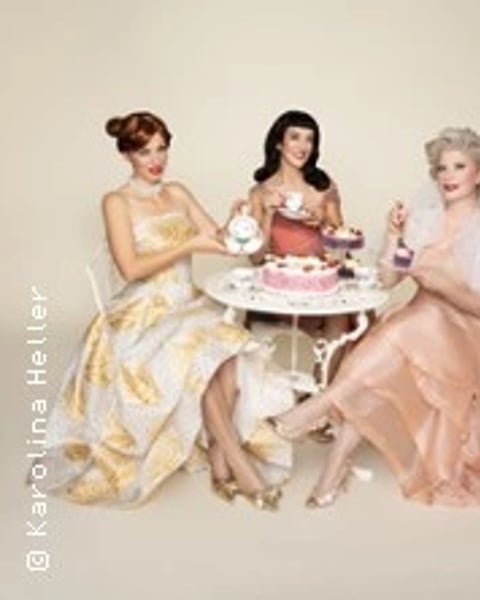 The Puppini Sisters, The Birthday Party