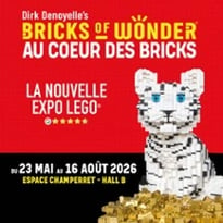 Bricks of Wonder, Au Coeur des Bricks