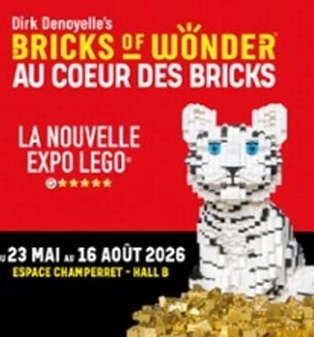 Bricks of Wonder, Au Coeur des Bricks