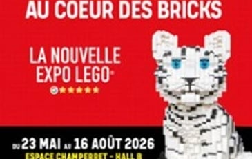Bricks of Wonder, Au Coeur des Bricks