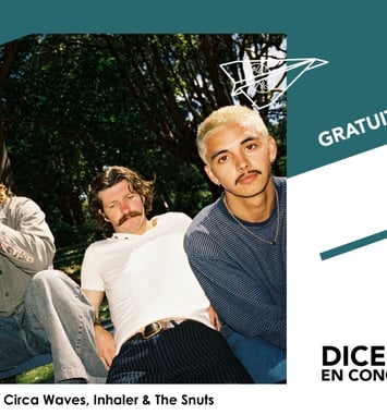 Dice