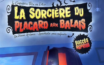 La sorcière du placard aux balais