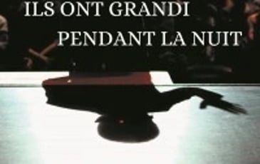 Ils Ont Grandi pendant la Nuit