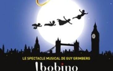 Peter Pan, le spectacle musical