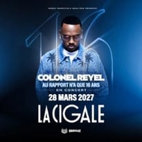 Colonel Reyel : Au rapport