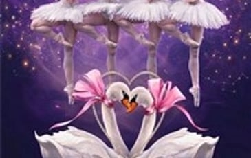 Le Lac des Cygnes