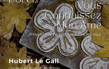 Arbres de la forêt, vous connaissez notre âme — Hubert Le Gall (Cuturi Gallery Paris)