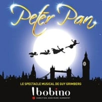 Peter Pan, le spectacle musical