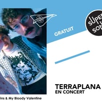 Terraplana