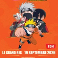 Naruto Symphonic Experience