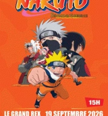 Naruto Symphonic Experience